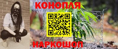 прущие крисы Аргун