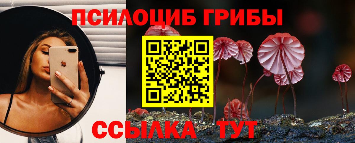 Артём  Галлюциногенные грибы Cubensis  Вход с VPN  Галлюциногенные грибы ЛСД 